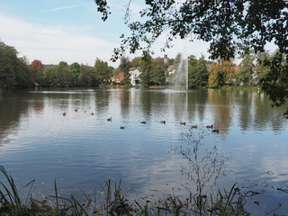 Jägersburger Brückweiher bei Homburg – Jägersburger Weiher - Naturziele im Saarland

