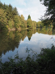 Jägersburger Brückweiher bei Homburg – Jägersburger Weiher - Naturziele im Saarland
