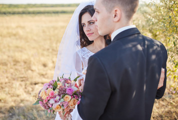 The bride and groom go through the field hand in hand