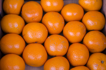 Bright orange delicious oranges