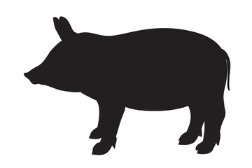 Pig on white. Hand drawn animal on isolated background. Print for banners, shirts and textiles. Doodle for business