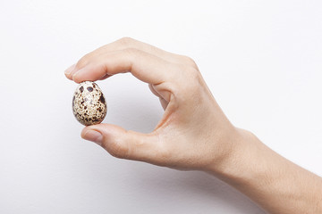 Fototapeta na wymiar kadının elinde bıldırcın yumurtası