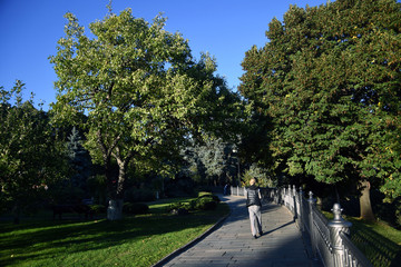 Fototapeta premium Old garden in Moscow Kremlin