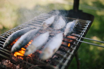 Sardines Grill