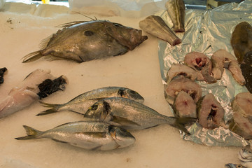 Fisch Meeresfrüchte