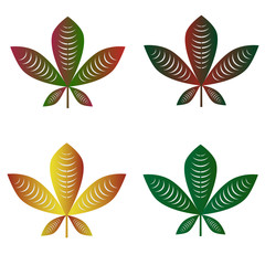 Set of colorful autumn leaves. Isolated on white background. Simple cartoon flat style. vector illustration.