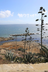 Tarifa