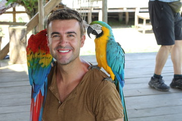 Obraz premium Handsome man interacting with two gorgeous macaws