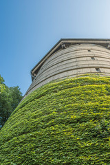 Alter Turm mit Fassadenbegrünung aus der Froschperspektive