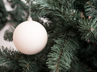 Fototapeta na wymiar White decoration ball on fir tree