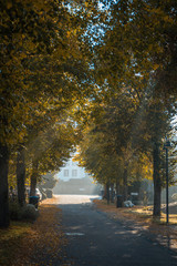 Lindenstraße im Herbst