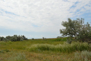 Ukraine.Chokrak.Arabatskaya arrow