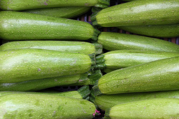 Zucchini. Fresh zucchini, green vegetables on local farmer market, freshly harvested courgette, summer squash. Organic green zucchini wallpaper. Vegetable background texture. 