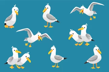 Fotobehang Vector set of cute seagulls isolated on blue background. Vector illustration. © Midorie