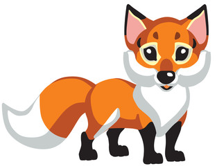 cartoon red fox .Isolated vector for baby and little kid