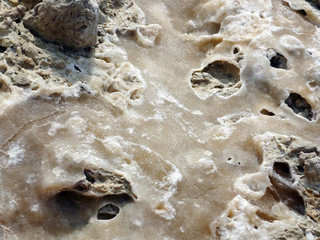 rocas en la bahía de Cadiz, Andalucía. España