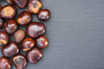 Chestnut fruits are located on a slate dish. free space on the right