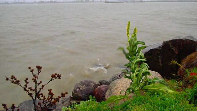 vagues sur le fleuve