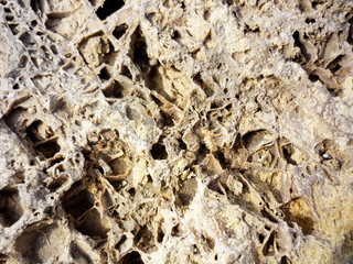 rocas en la bahía de Cadiz, Andalucía. España