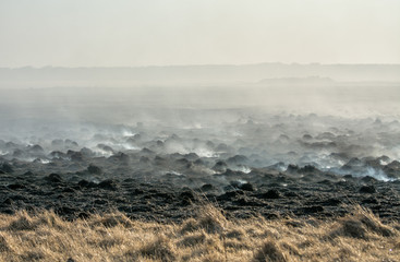 Field after fire