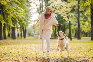 .A young woman plays with her dog Labrador in the park in the fall. Throws a stick to the dog.