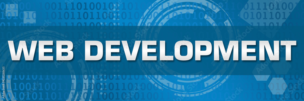 Wall mural web development blue technology binary background