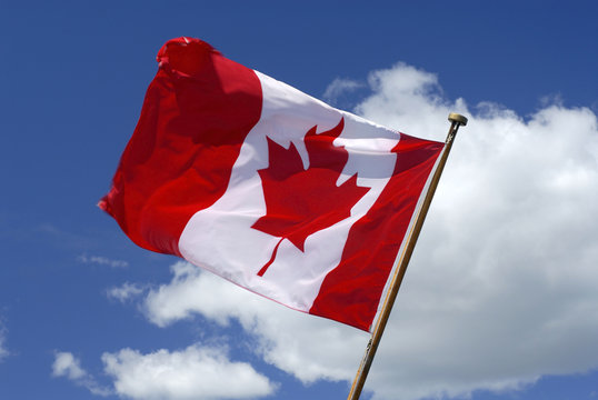 Canadian National Flag Maple Leaf
