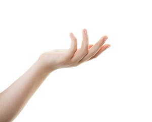 Beautiful female hand isolated on white background