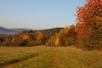 Rural countryside landscape of autumn and summer country.