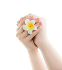 Beautiful woman's hands with light pink manicure on the nails isolated on white background. Manicure and beauty treatment. Stylish trendy female manicure.