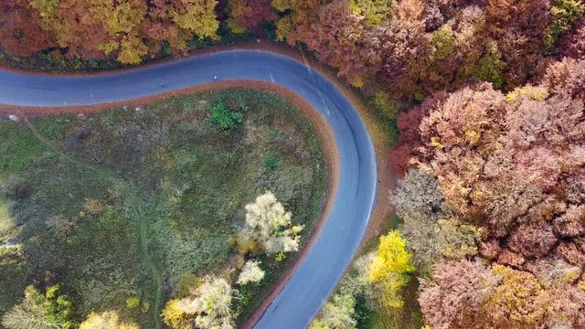 Aerial view of the serpentine road and beautiful autumn landscape
