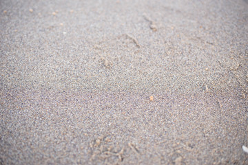 Beautiful and very stylish detailed texture of a sandy sea beach