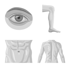 Isolated object of human and part icon. Collection of human and woman stock symbol for web.