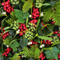 Christmas Holly Ivy and Mistletoe