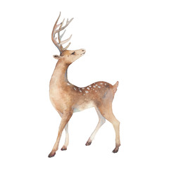 Obraz premium Watercolor deer illustration. Isolated animal silhouette on white background.