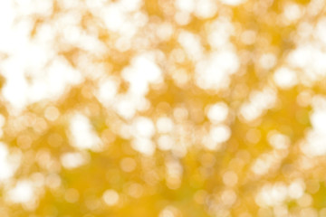 Blurred abstract background of yellow leaves