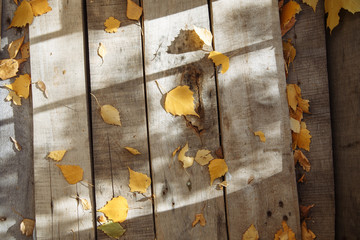 yellow leaves on wooden boards and shadow
