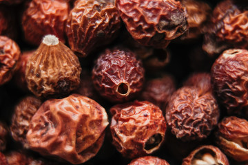 dry berries dogrose red