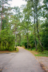 a trip to the beautiful Baltic sea