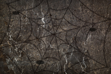 Halloween background. Old cracked wall with spider's and spiderwebs. Copy space.