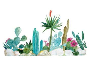 Cactus Garden In Watercolor