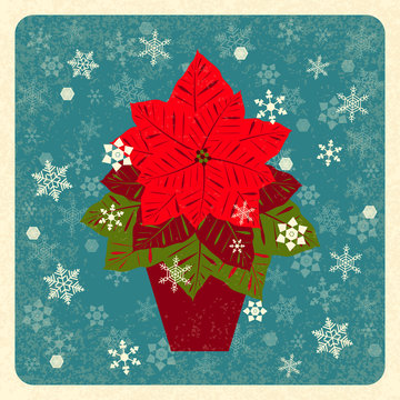 Poinsettia in a clay pot. Euphorbia pulcherrima. Vector illustration. New Year, Christmas. Traditional symbols. Retro grunge background with snowflakes. Flat style.