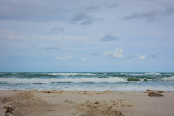journey to the nature reserve of the Baltic sea