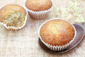 Close up banana cup cake bakery on wood ladle look delicious on wooden table background have copy space, vintage tone.