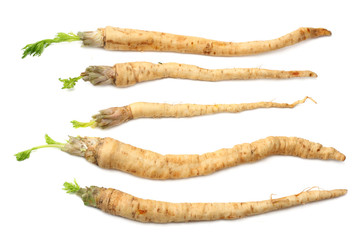 fresh parsley root isolated on white background