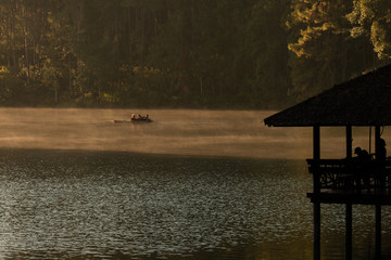 Tranquil scenery of lakeside forest in the morning