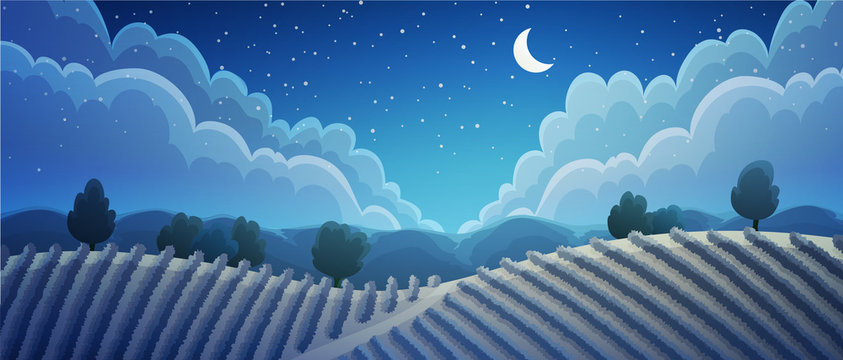 Rural landscape of vineyard at night. Vines on hills with trees and mountains in background and starry sky. Vector illustration.