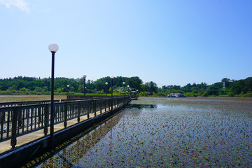 A bridge over ashinoko lake in Aomori  , Japan