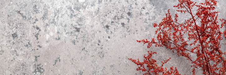 Panoramic photo of red dry grass on a background of old gray concrete copy space wall