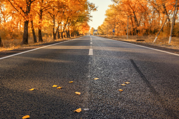 Road to autumn